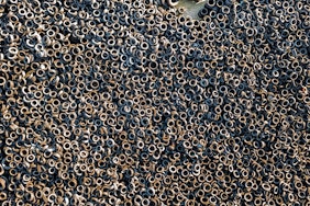 Poluição de Solo, Atmosfera e Águas Continentais